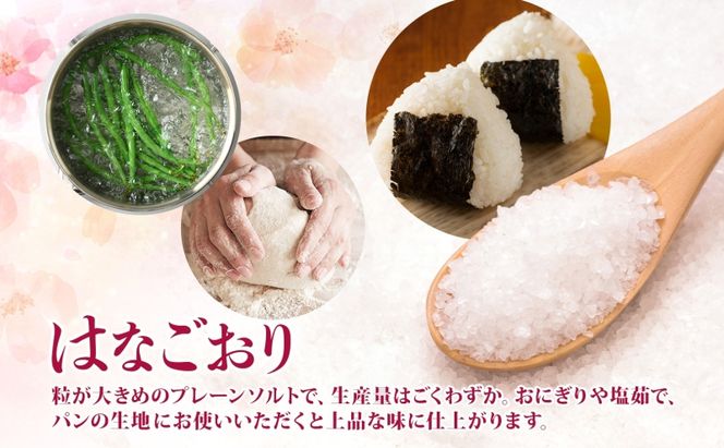 カムイミンタルの塩 はなごおり 1パック ミル付き カムイミンタル 塩 お塩 粗塩 調味料 ソルト salt 自然塩 薪釜 プレーンソルト プレーン プレーンタイプ ミネラル まろやか ステーキ 塩むすび 塩ゆで パン生地 お取り寄せ 北海道 洞爺湖町