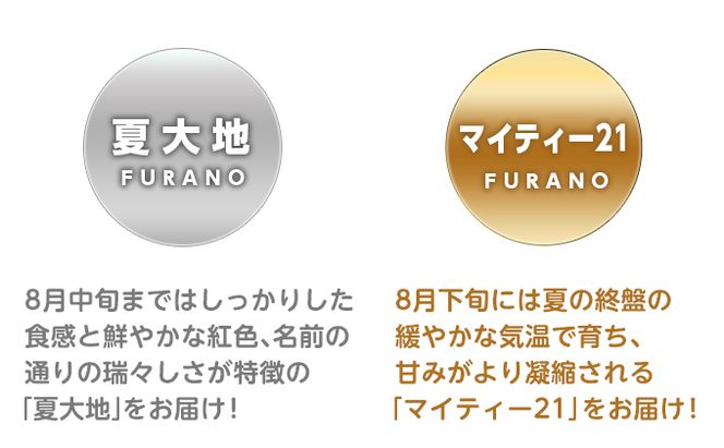 先行予約【食べ比べ】 2026年夏発送 富良野産 大玉 スイカ L 各1玉(夏大地・マイティ21) 北海道 ふらの すいか 西瓜 夏 フルーツ ふらの 甘い 糖度 大きい 大だま セット 別送  (畠山農園）