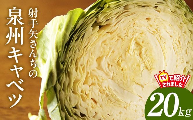 G3675 【スピード発送】射手矢さんちの泉州キャベツ 20kg【家計応援 新鮮 野菜 やさい 射手矢農園 高評価 きゃべつ 訳あり サイズ不揃い 数量限定 TVで紹介！】