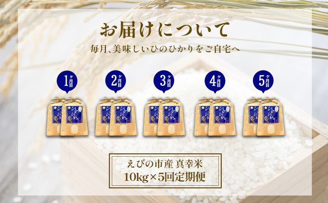 【令和7年産】【5回定期便】米 ひのひかり 10kg 合計 50kg 九州 霧島 えびの産 ヒノヒカリ 発送直前に精米 農家 直送 お米 おこめ こめ コメ 白米 ふるさと納税 10キロ 九州産 宮崎県産 宮崎県 送料無料