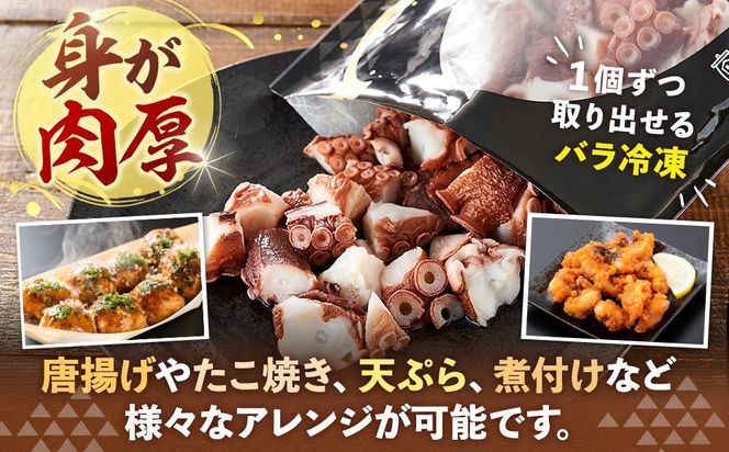 北海道 知床羅臼産 500g たこのブツ切り  小分け 小分けパック 冷凍新鮮 魚介類 海の幸 海産物 刺身 おつまみ たこ焼き たこ飯 カルパッチョ 国産 贈り物 ギフト おすすめ ランキング 人気 一品 016942_AM088