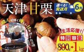 【2026年6月発送】【特別容量 800g⇒1kg】 （ 生活応援 ） この道50年の職人が焼く､やさしい甘みたっっっぷり！｢天津甘栗｣ 1kg 焼きたて 栗 くり 栗爪 殻付き お菓子 おつまみ 人気 高リピート 小分け 栗ご飯 栗きんとん 甘露煮 感謝を込めて 碧南市 H045-106_Jun