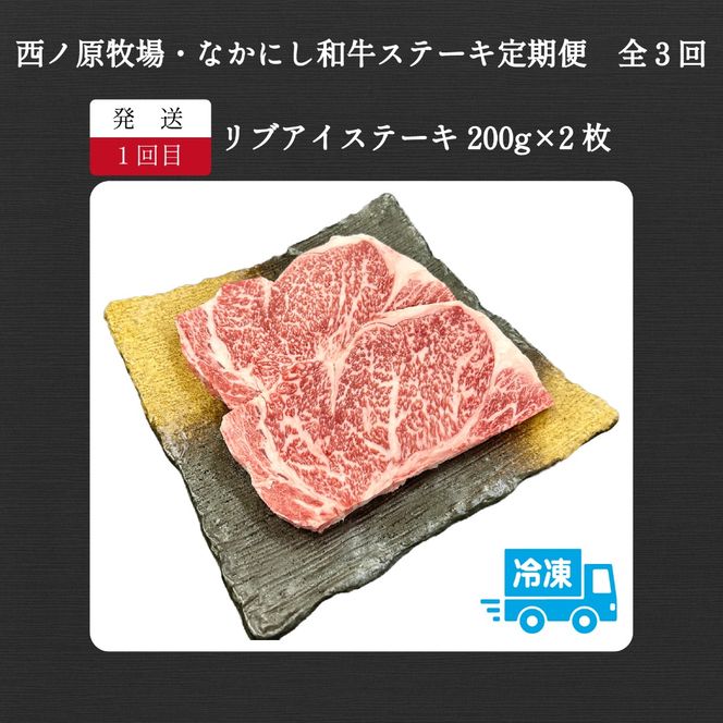 【定期便 全3回】宮崎県西ノ原牧場・なかにし和牛ステーキ定期便（牛肉 黒毛和牛 お肉 ステーキ サーロイン ヒレ 定期便）
