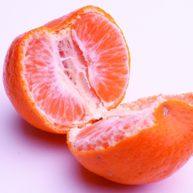 ［先行予約］厳選 ポンカン1kg+250g（傷み補償分）［IKE19］ 303446_BB97364