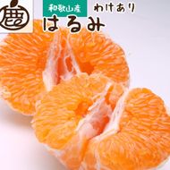 ［先行予約］家庭用 はるみ1kg+250g（傷み補償分）［デコポンの姉妹品種・新食感春みかん］［光センサー選別］［わけあり・訳あり］［IKE91］ 303446_BB90130