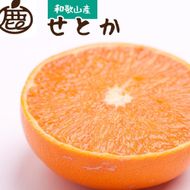 ［先行予約］厳選 せとか5kg+250g（傷み補償分）［柑橘・春みかんの王様］［光センサー選果・食べ頃出荷］ ［IKE119］ 303446_BB90128