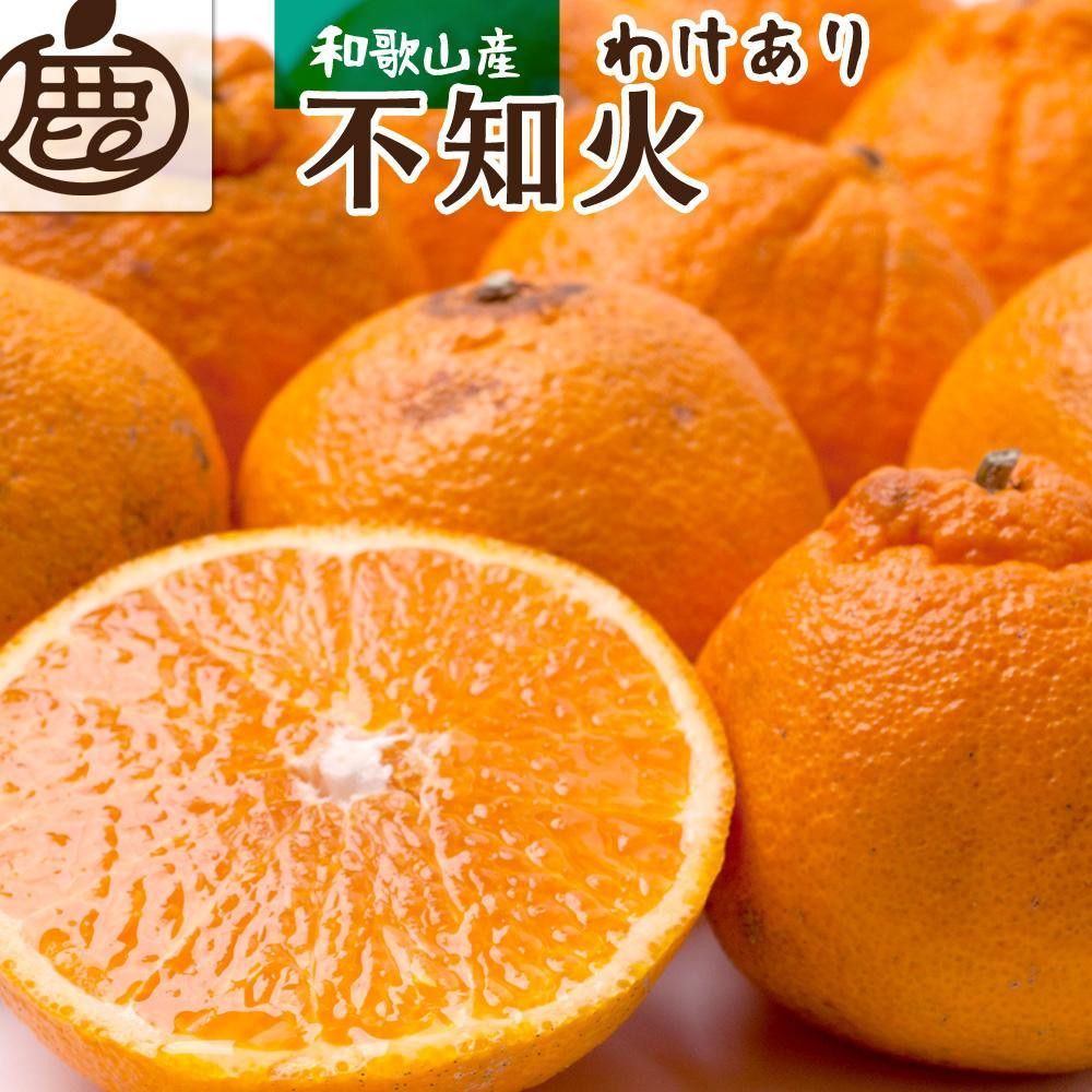[先行予約]家庭用 不知火2.5kg+250g(傷み補償分)[デコポンと同品種・人気の春みかん][わけあり・訳あり][IKE120] 303446_BB90135
