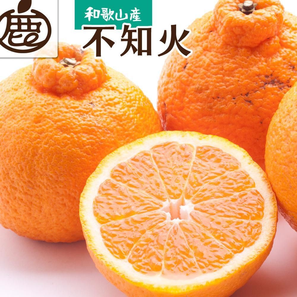 [先行予約]厳選 不知火1kg+250g(傷み補償分)[デコポンと同品種・人気の春みかん][IKE211] 303446_BB90134