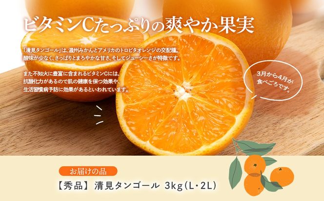 【先行予約】【秀品】清見タンゴール 3kg（L・2L）※離島への配送不可 （2026年3月上旬頃より順次発送） IKTAR011