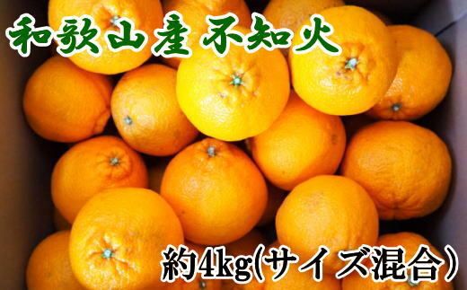 【先行予約】和歌山県産 不知火 約4kg（サイズ混合）柑橘