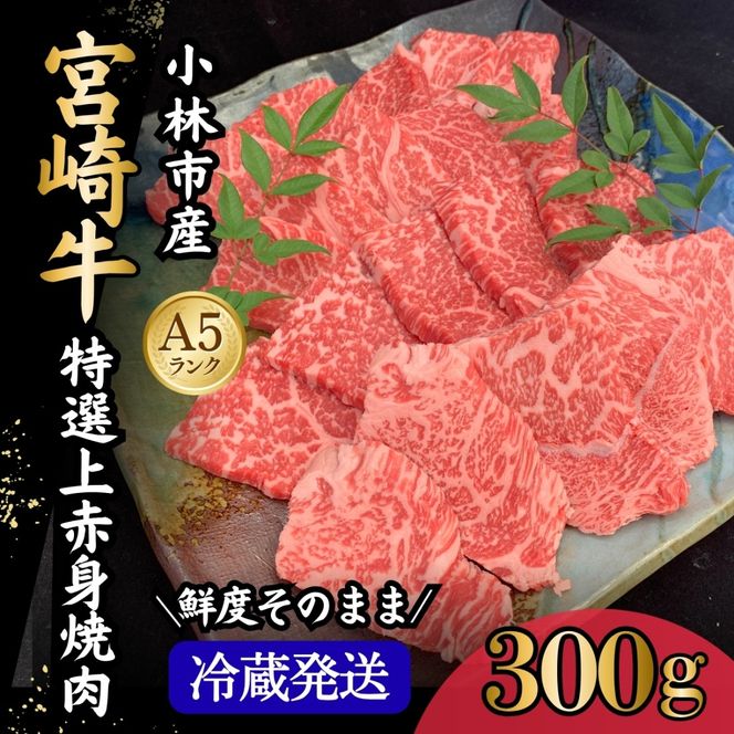 【新鮮チルド発送!!】A5等級宮崎牛特選上赤身焼肉 300g（黒毛和牛 牛肉 宮崎牛 赤身 焼肉用 宮崎県）
