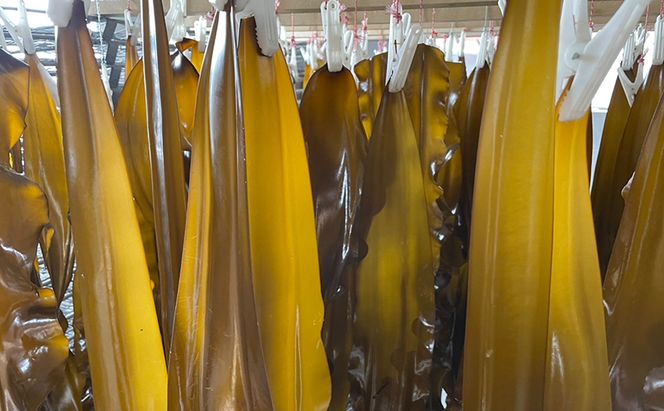 北海道 礼文町 棹前 昆布 100g×3パック 昆布 煮昆布 こんぶ 乾物