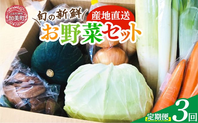 【3回 定期便】産地直送！旬の新鮮野菜セット（8品程度） [やくらい土産センター 宮城県 加美町 44581300] 野菜 季節野菜 旬野菜 詰合せ セット