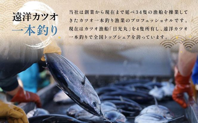 日光丸水揚げの海鮮をたっぷりお届け！御前崎の海鮮詰め合わせセット（1～2人前）海鮮 詰め合わせ セット 冷凍 時短 おつまみ おかず ごはん 加工品 222232_BC037