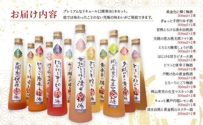 櫻室町 こだわりだけを詰め込んだリキュール 詰合せ セット 計12本（12種類300mlx各1本） お酒 アルコール 酒 