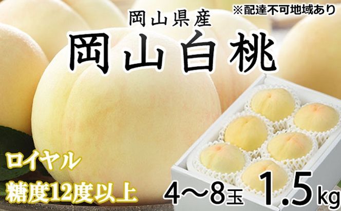 桃 2026年 先行予約 岡山 白桃 ロイヤル 4～8玉 約1.5kg JA おかやま のもも（早生種・中生種） もも モモ 岡山県産 国産 フルーツ 果物 ギフト 甘い 美味しい 産地直送 贈り物 高糖度 