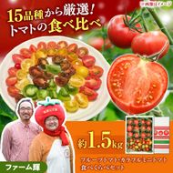【先行予約】フルーツトマト＆カラフルミニトマト食べ比べセット約1.5kg / 15品種から厳選〈2027年1月下旬から順次発送〉トマト フルーツトマト ミニトマト 詰め合わせ セット ふるーつとまと フルーツミニトマト カラフル トマト とまと 美味しい 高知県産 高知県 土佐市【ファーム輝】 [BQBM001]