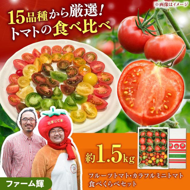 【先行予約】フルーツトマト＆カラフルミニトマト食べ比べセット約1.5kg / 15品種から厳選〈2027年1月下旬から順次発送〉トマト フルーツトマト ミニトマト 詰め合わせ セット ふるーつとまと フルーツミニトマト カラフル トマト とまと 美味しい 高知県産 高知県 土佐市【ファーム輝】 [BQBM001]