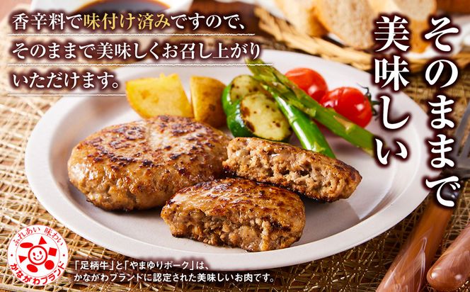 【かながわブランド】足柄牛とやまゆりポーク合い挽きハンバーグ8個入【 肉 国産  神奈川県 小田原市 】 142069_AG031