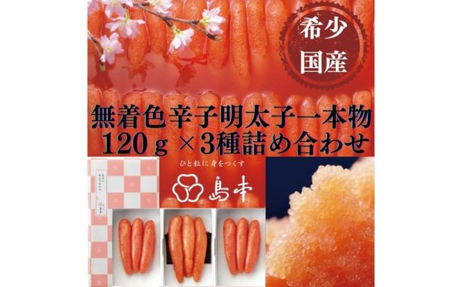 yz㒬zyhqq̓{z󏭍YEFhqq{120×3 z㒬yГ{Hiz߂񂽂 炱 q Y F 1{[ABCR014]