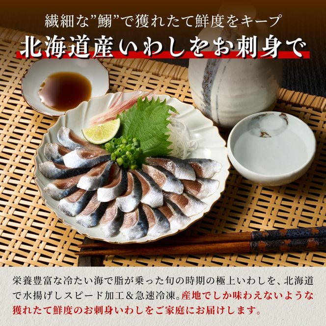 北海道産「刺身いわし」【20枚×2パック（20尾分）】