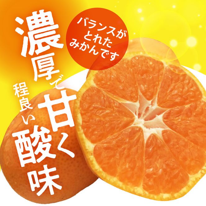 H6004n_【2026年先行予約】天の恵み 温州みかん 大玉5kg【ミカン 蜜柑 柑橘 温州みかん 和歌山】