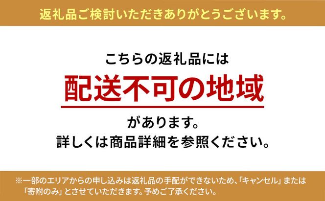 カサブランカ(規格外品)5本束 花 お花 規格外 花束 切り花 新潟県 十日町市