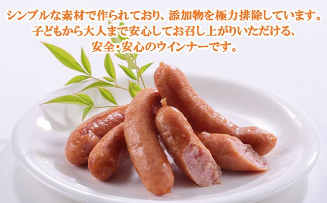 【京都特産ぽーく】大容量ウインナーセット 5本×13袋 | ウインナー 大容量ウインナー 自然派ウインナー ［ 京都 ポーク ハム ベーコン ウインナー ソーセージ 自然派 安心安全 人気 おすすめ グルメ 肉 豚肉 詰め合わせ 小分け ギフト プレゼント 贈答 お取り寄せ 通販 送料無料 ふるさと納税 ］ 261009_B-FL16