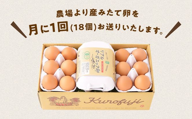リアルオーガニック卵18個×6ヶ月B-23