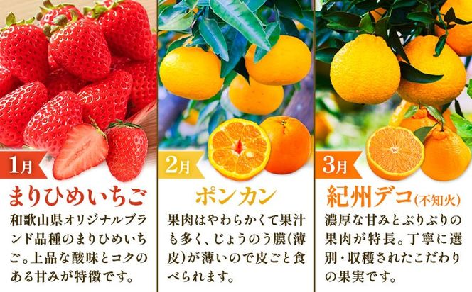 【発送月固定定期便】紀州和歌山県産 旬のフルーツ (いちご・ポンカン・紀州デコ) 全3回 選べる内容量 Mセット Sセット 魚鶴商店《1月上旬-3月下旬頃出荷》 和歌山県 日高町 まりひめ いちご ポンカン 紀州デコ 不知火 定期便 フルーツ 果物 定期便---wsh_uotteim_26_51000_jun3---