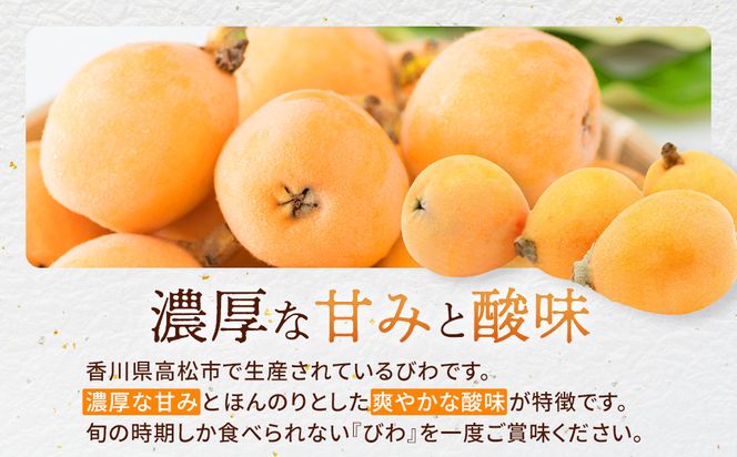 『数量限定』びわ　480ｇ化粧箱　8玉～12玉 372013_GC002