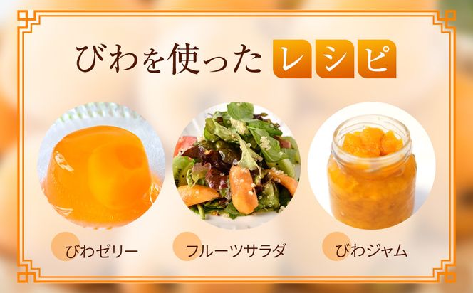 『数量限定』びわ　480ｇ化粧箱　8玉～12玉 372013_GC002