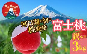 ＜25年発送先行予約＞【訳あり】河口湖で初の桃栽培！オリジナルブランド富士桃『訳あり』(約３キロ) FAH001