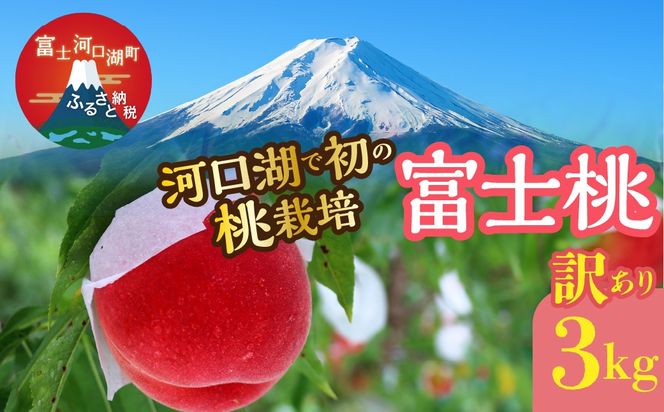 yRxm͌Βz26Ns\񁄁y󂠂z͌΂ŏ͔̓|IIWiuhxmw󂠂x(RL) FAH001