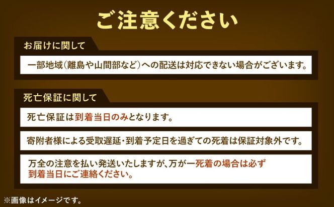 【先行予約】 ミックスメダカ 10匹 メダカ めだか ﾒﾀﾞｶ 【配送不可地域：北海道・沖縄・離島】 愛西市 / 艶麗 [AEDD006]