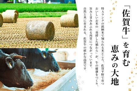 佐賀牛 柔らかハンバーグステーキ130g×8個計1040g【佐賀牛 ハンバーグ 牧場直送 手ごね】(H122136)