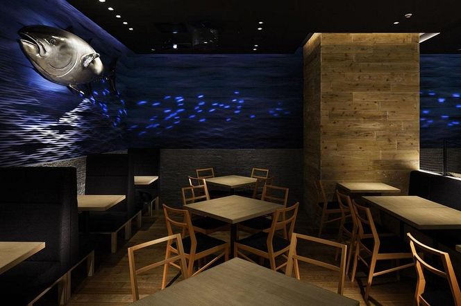 お食事券 3名様 コース 近畿大学水産研究所 近大マグロを食す 304018_A016