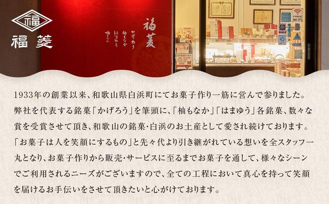 和菓子お試しセット かげろう10個・柚もなか12個・はまゆう6個 福菱 304018_AA08