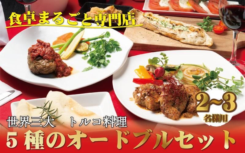 本格トルコ料理 オードブル 2〜3名セット ケバブチキンステーキ ハンバーグ ピザ 焼き菓子 肉料理 鶏肉 温めるだけ 惣菜 お手軽 簡単 ギフト 贈り物 ホームパーティー 304018_AG18