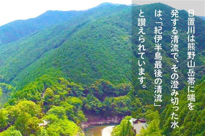 2026年度 日置川アマゴ遊漁券（一年券） 304018_AN08