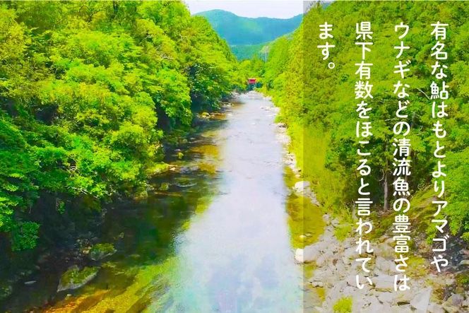 2026年度 日置川アマゴ遊漁券（一年券） 304018_AN08