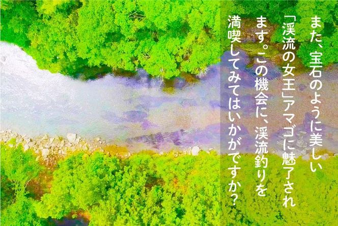 2026年度 日置川アマゴ遊漁券（一年券） 304018_AN08