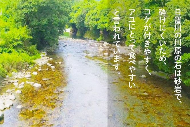 2026年度 日置川アユ遊漁券（一年券） 304018_AN09