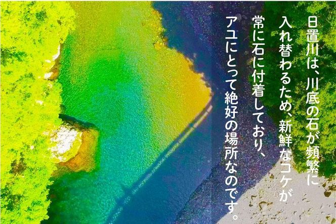 2026年度 日置川アユ遊漁券（一年券） 304018_AN09