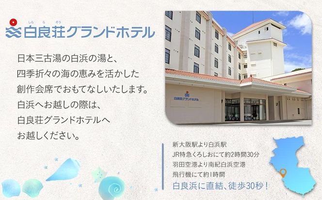 白良荘グランドホテル 白良鍋スープ  750g （3～4人前） ストレートタイプ 2袋 304018_AQ04