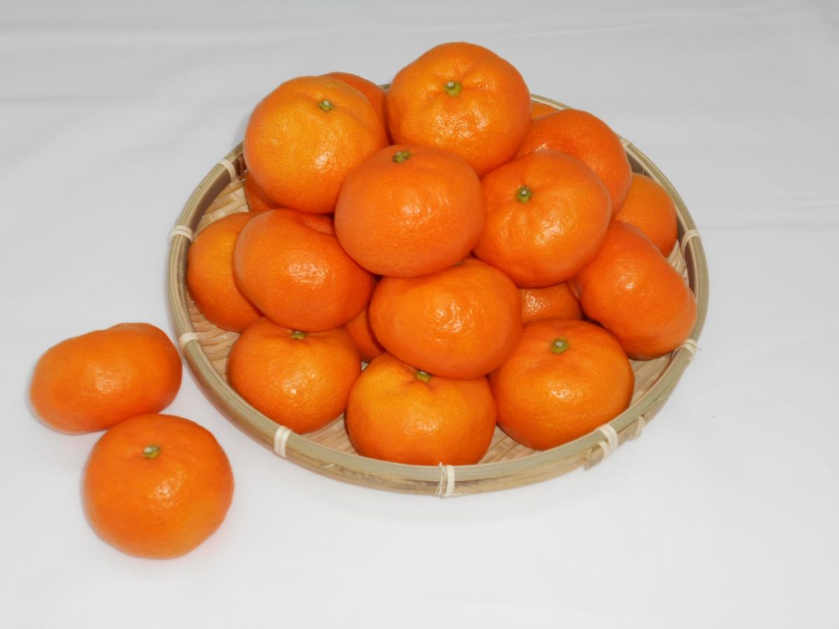紀州完熟みかん 3kg(2Lサイズ) 304018_AV35