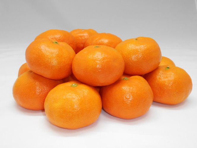 紀州完熟みかん 10kg（2Lサイズ） 304018_AV38