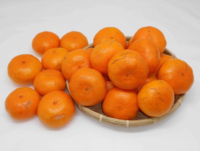 紀州完熟みかん 10kg（家庭用M又はＬ） 304018_AV39