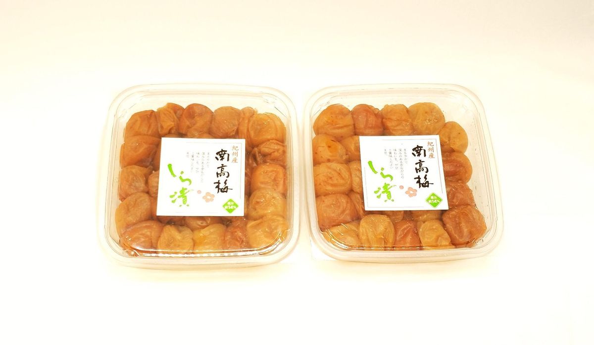 しら漬(訳あり)500g×2パック 304018_AV41