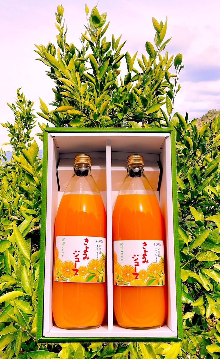 清見オレンジ ジュース 100% 1000ml 2本セット 304018_AV44